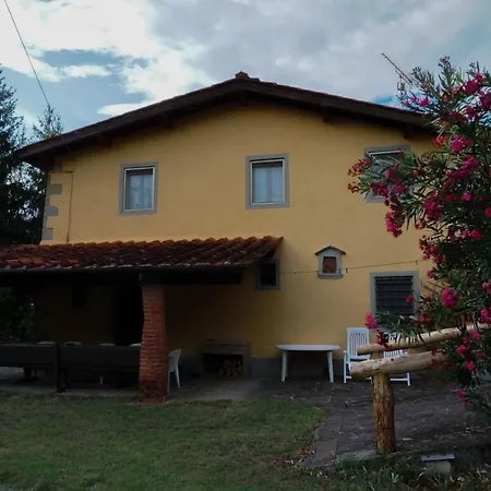 Podere Il Pino Medicina (Tuscany)